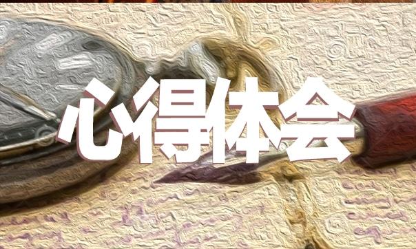 实用会计事务所实习工作心得5篇 会计事务所实践总结