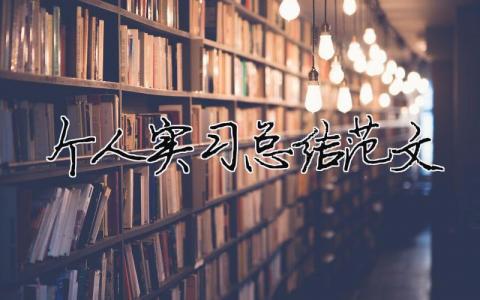 个人实习总结范文（精选合集19篇）