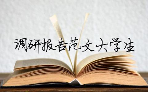 调研报告范文大学生 大学生调研报告格式范文（精选合集15篇）