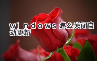 windows怎么关闭自动更新