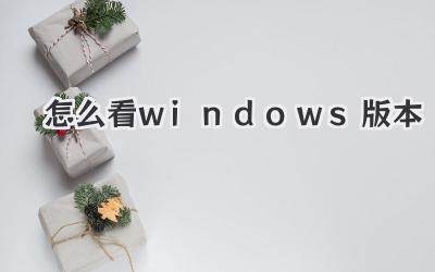 怎么看windows版本