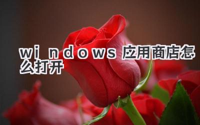 windows应用商店怎么打开