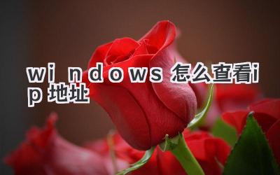 windows怎么查看ip地址