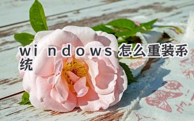 windows怎么重装系统