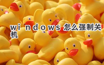 windows怎么强制关机